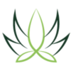 Stone Leaf Cannabis logo